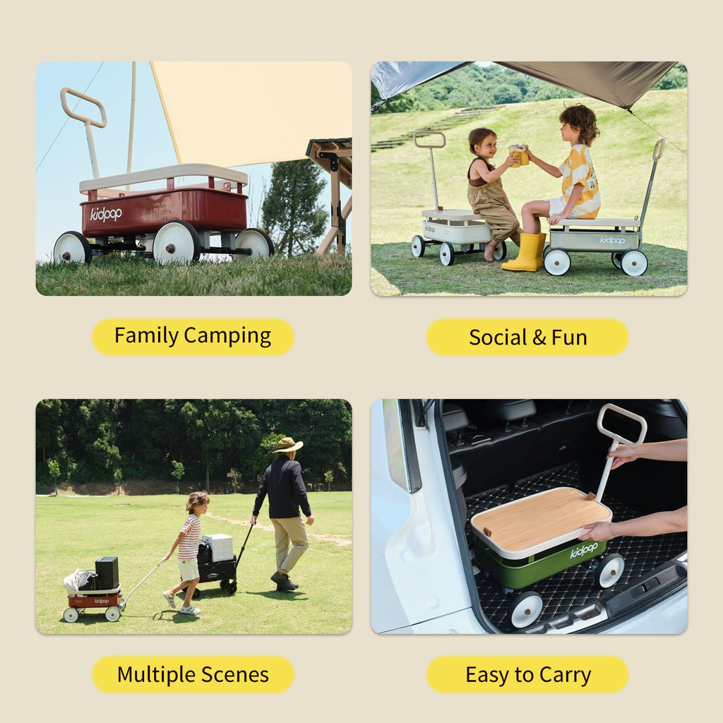 New kidpop PULA-Wild 3-in-1 Kids Push Walker  Pull-Along Wagon with Removable Wooden Cover. Retail $99.00