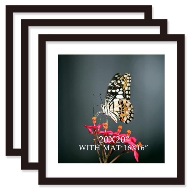 x20 Solid Wood Picture Frames with Mat 16x16 Black 3 Pack