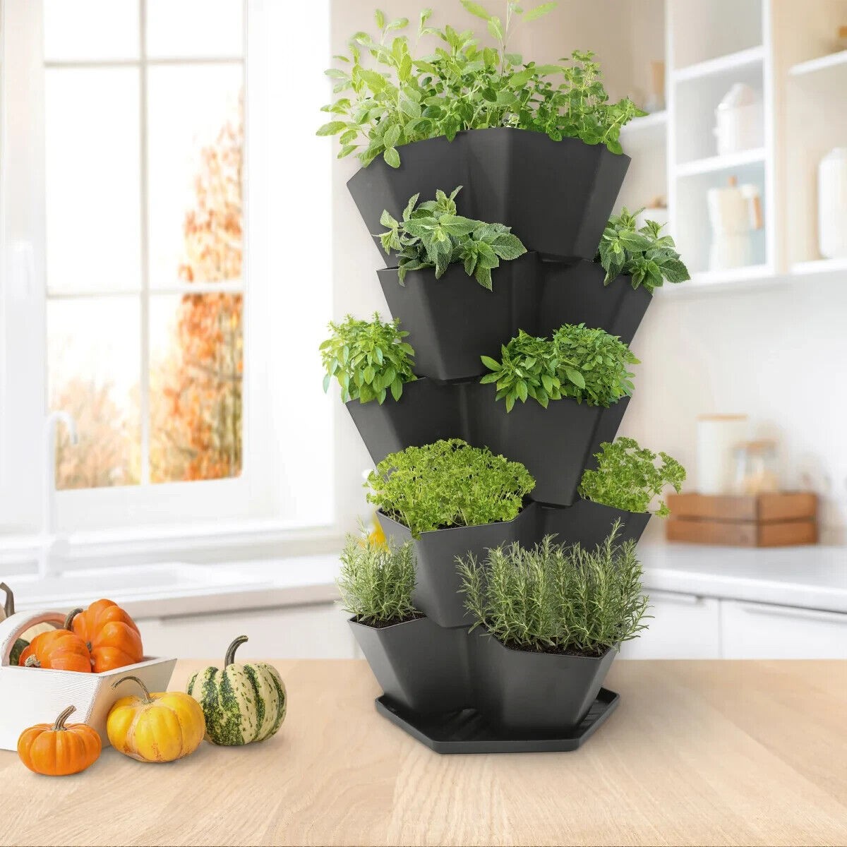 5-Tier Stackable Planter by Multy - Image 5