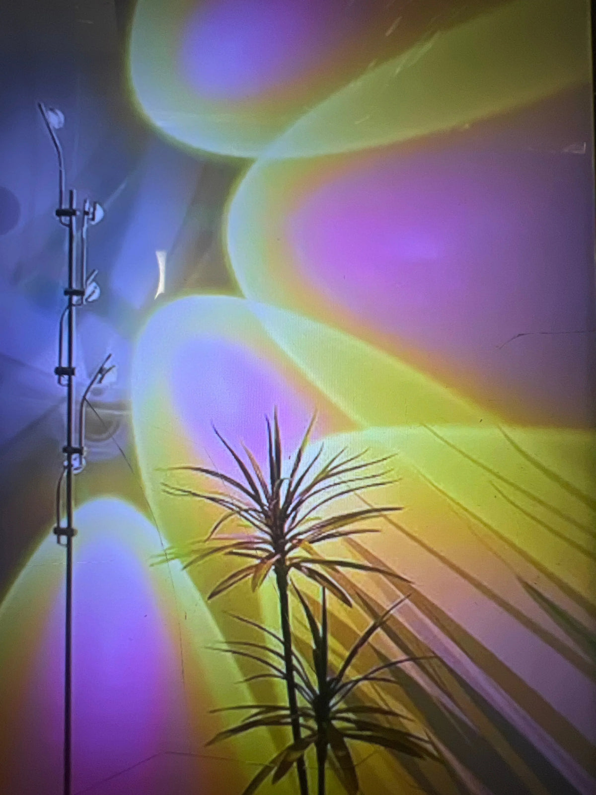 Multi head floor light with 5 head sunset projector - Image 3