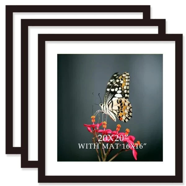 x20 Solid Wood Picture Frames with Mat 16x16 Black 3 Pack