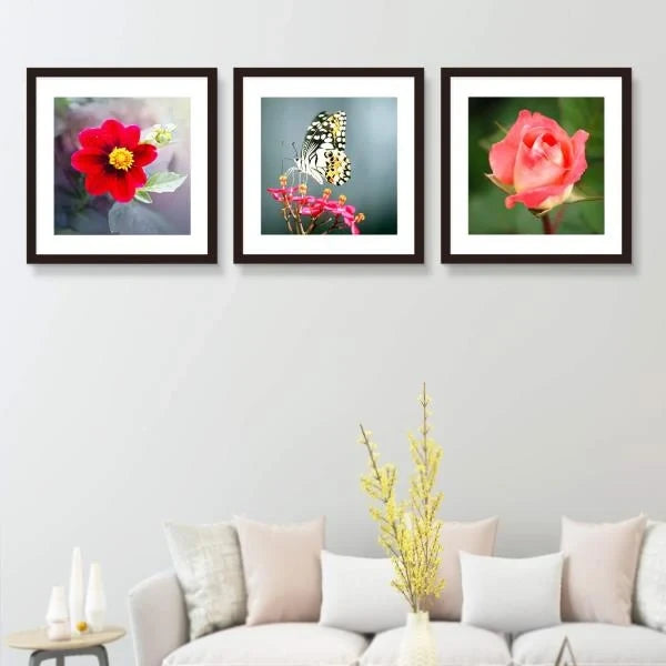 x20 Solid Wood Picture Frames with Mat 16x16 Black 3 Pack