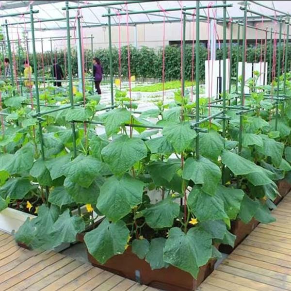 -Foot Garden Stakes Sturdy Plant Support for Vegetables 20-Pack