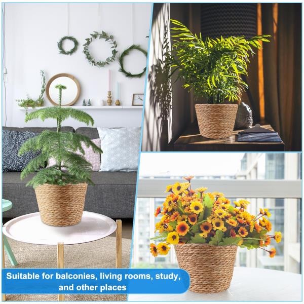 Pcs Large Premium Seagrass Planter Baskets with Plastic Lining 10.2x7.5x7.5