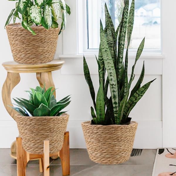 Pcs Large Premium Seagrass Planter Baskets with Plastic Lining 10.2x7.5x7.5