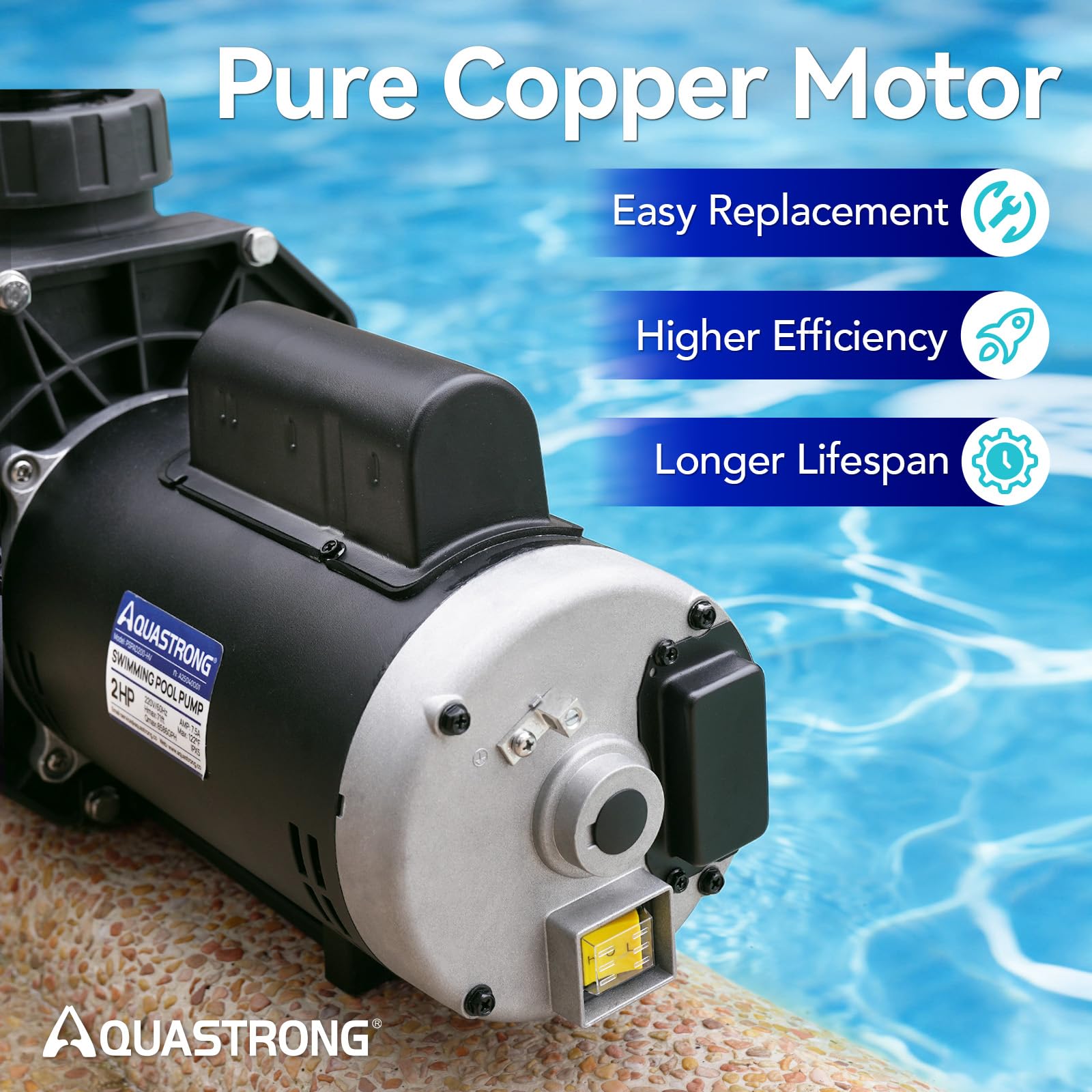Riptide Series 2 HP Dual Speed Pool Pump 220V 8586 GPH InAbove Ground Grey