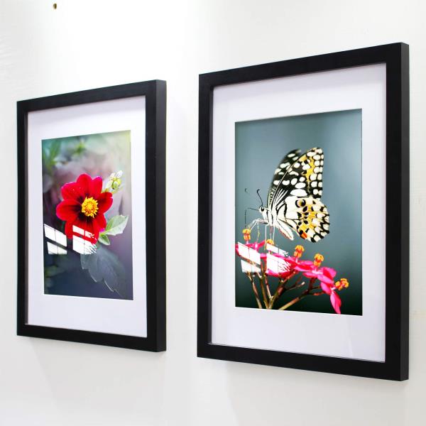 x20 Solid Wood Picture Frames with Mat 16x16 Black 3 Pack