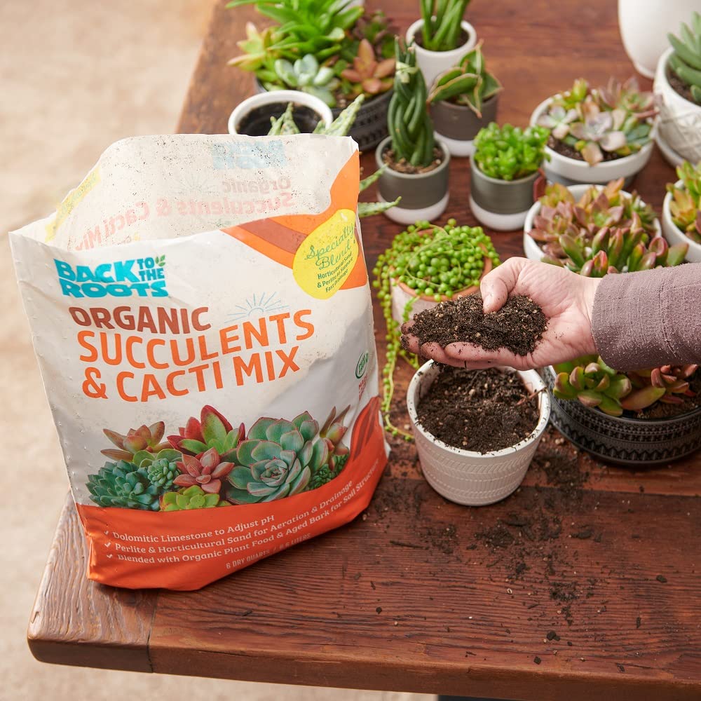 Open-Box New Back to the Roots 6qt Succulent  Cacti Mix Potting Soil with Rapid Drainage Retail $5.06