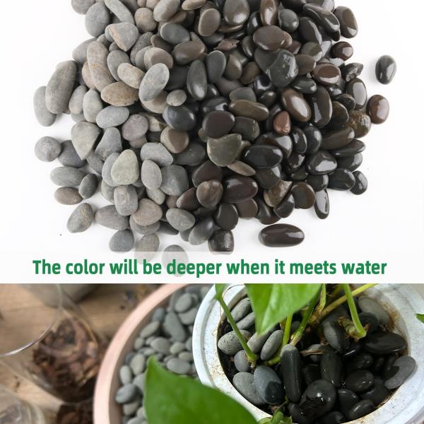 LB Mexican Beach Pebbles 1-Inch Grey River Rocks for Garden Landscaping and Potting