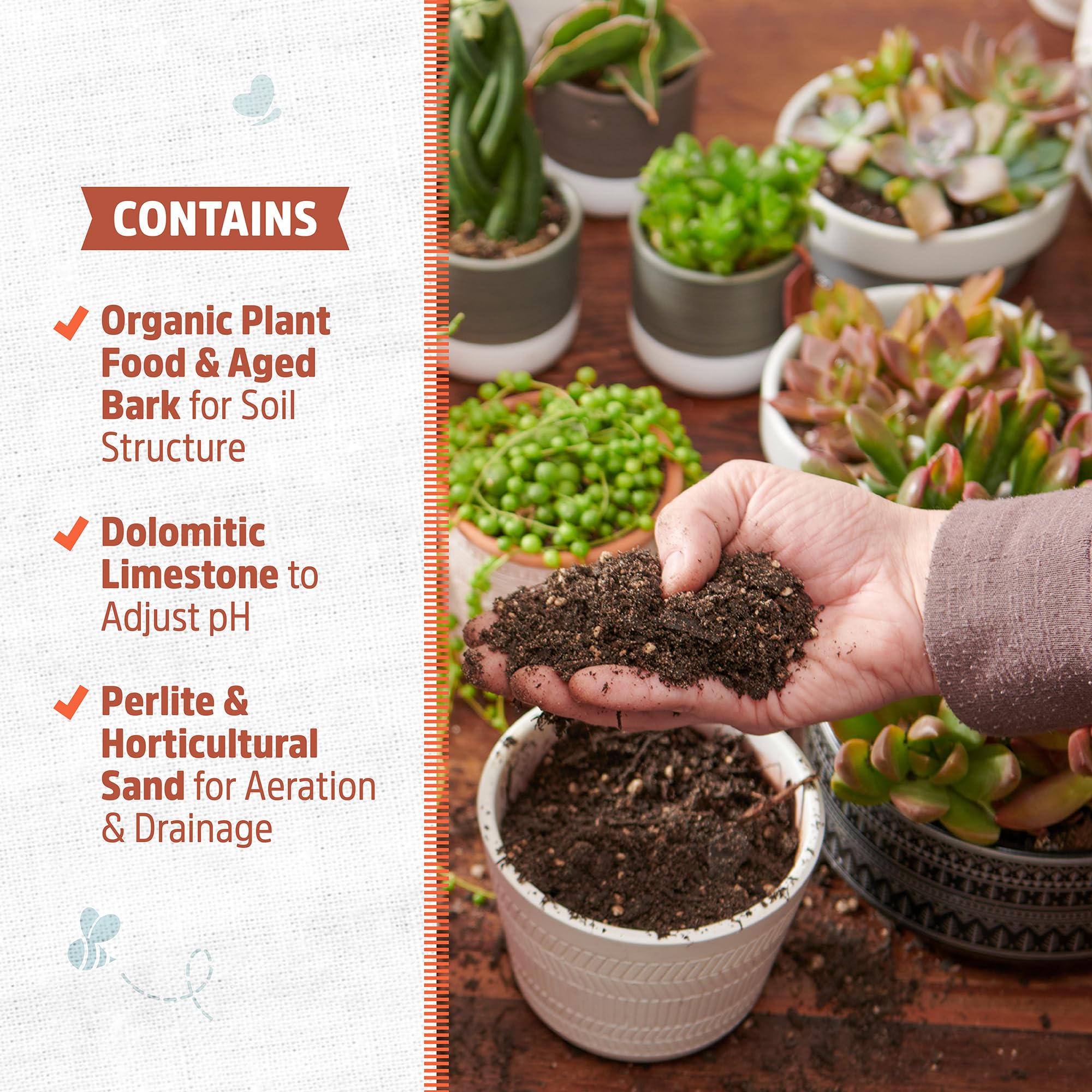 Open-Box New Back to the Roots 6qt Succulent  Cacti Mix Potting Soil with Rapid Drainage Retail $5.06