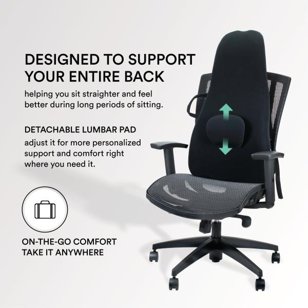 ObusForme Highback Backrest Support - Extra Tall Padded Seat Cushion and Lumbar Support Pillow, Portable Posture Support with Soft and Durable Foam Retail $79.00