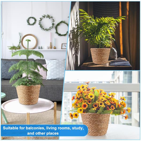 Pcs Large Premium Seagrass Planter Baskets with Plastic Lining 10.2x7.5x7.5