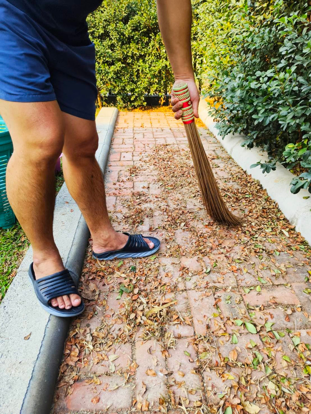 AW BROOMS 32in Natural Coconut Leaf Broom