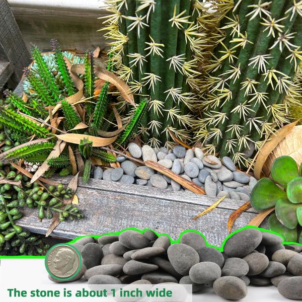 LB Mexican Beach Pebbles 1-Inch Grey River Rocks for Garden Landscaping and Potting