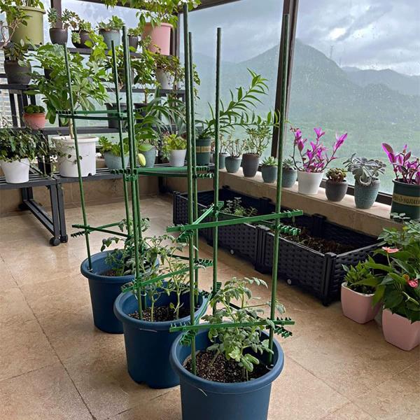-Foot Garden Stakes Sturdy Plant Support for Vegetables 20-Pack