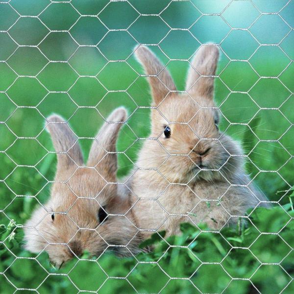 20GA Galvanized 60in x 50ft x 1in Mesh Chicken Wire Hexagonal Poultry Netting Retail $99.00