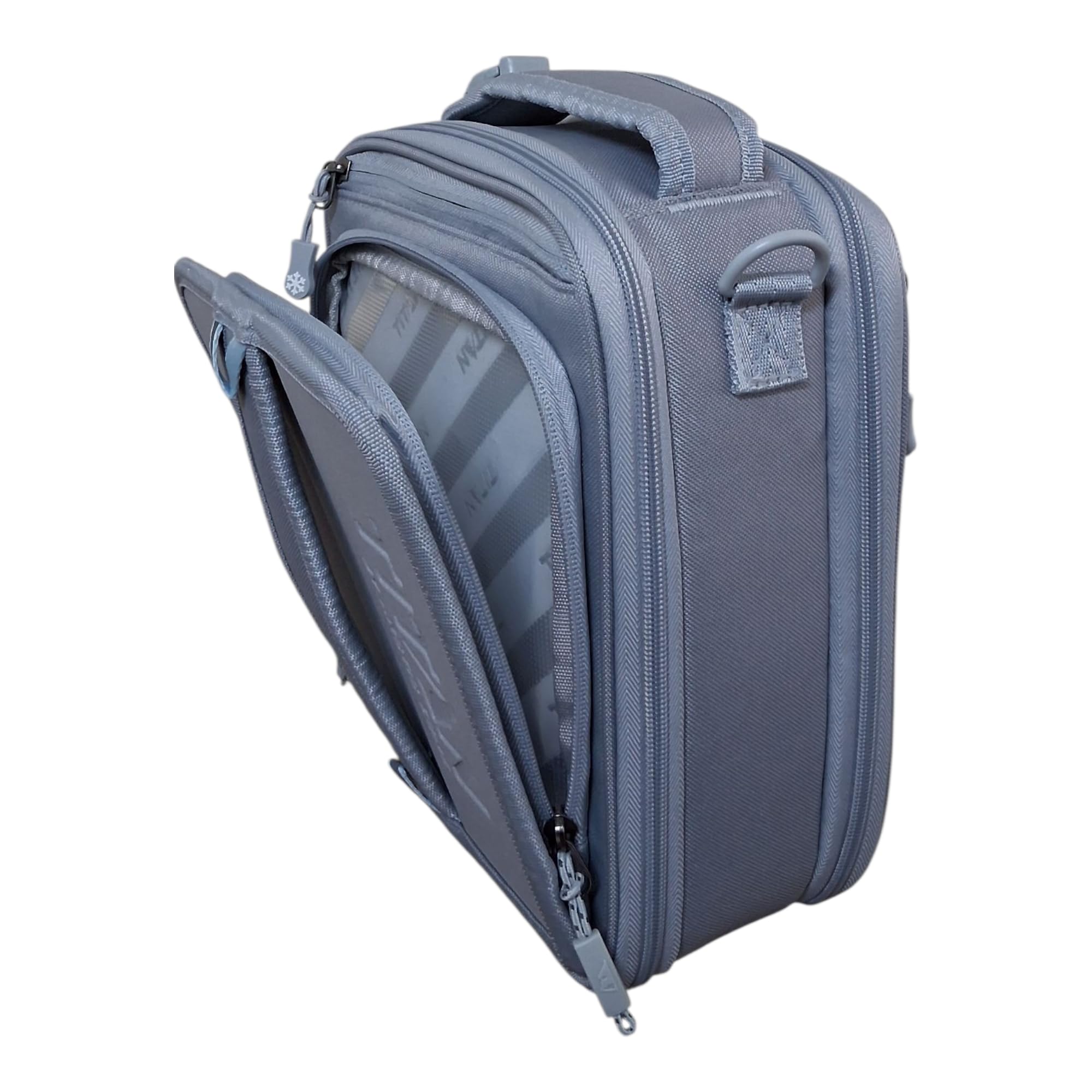 Pale Frost Expandable Insulated Lunch Box Cooler with 2 Ice Walls  Leak-Proof Lining Retail $44.00