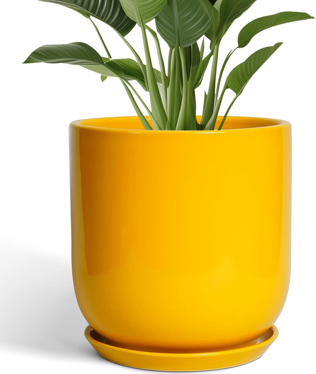Bright Yellow 12 Inch Ceramic Plant Pot with Drainage Hole Retail $109.00