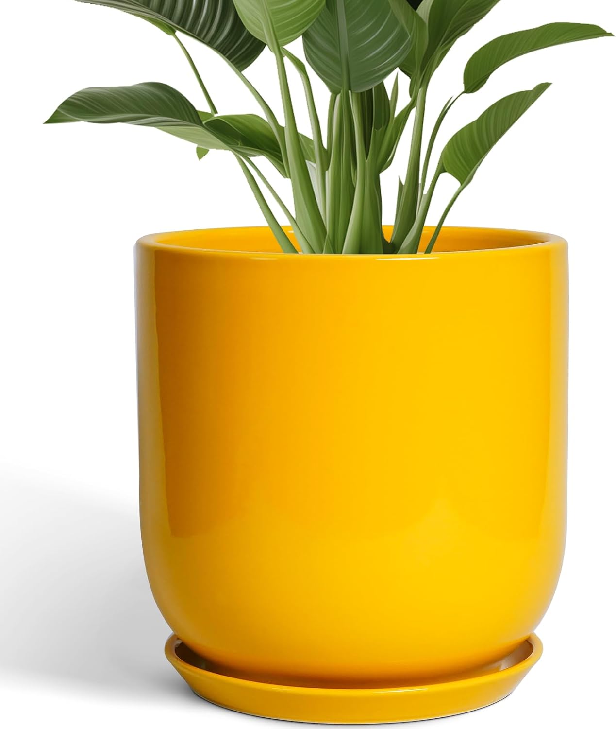 Bright Yellow 12 Inch Ceramic Plant Pot with Drainage Hole Retail $109.00