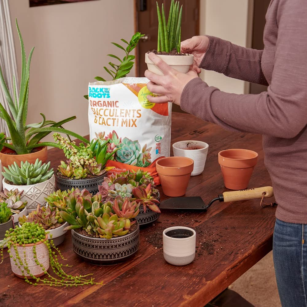 Open-Box New Back to the Roots 6qt Succulent  Cacti Mix Potting Soil with Rapid Drainage Retail $5.06