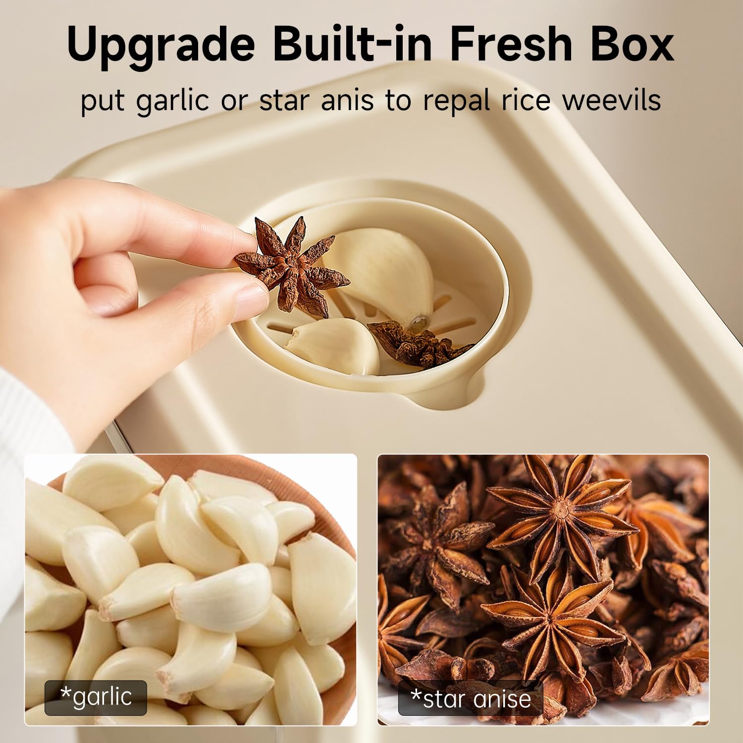 Cream White 22 Lb Airtight Rice Dispenser with Measuring Cup  Pest Prevention Box Retail $30.00