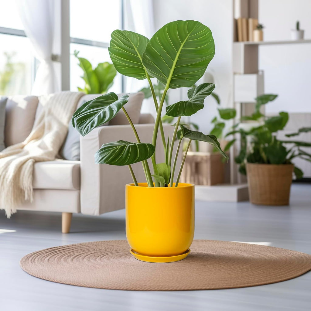 Bright Yellow 12 Inch Ceramic Plant Pot with Drainage Hole Retail $109.00