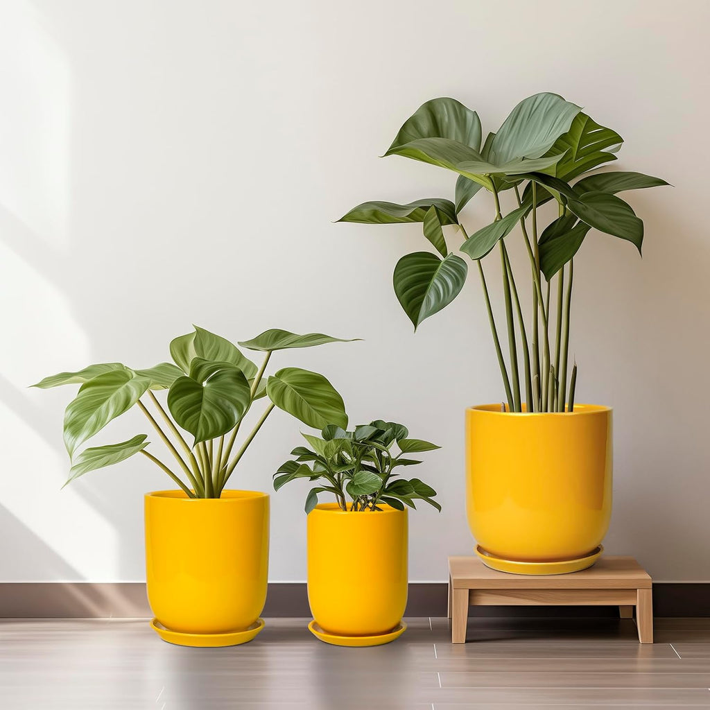 Bright Yellow 12 Inch Ceramic Plant Pot with Drainage Hole Retail $109.00