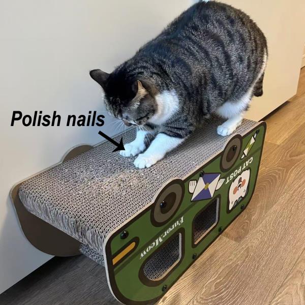 Increased Width Cat Scratching Board Green Bus Large Double Layers Cardboard House 9x11.8x22 Inch