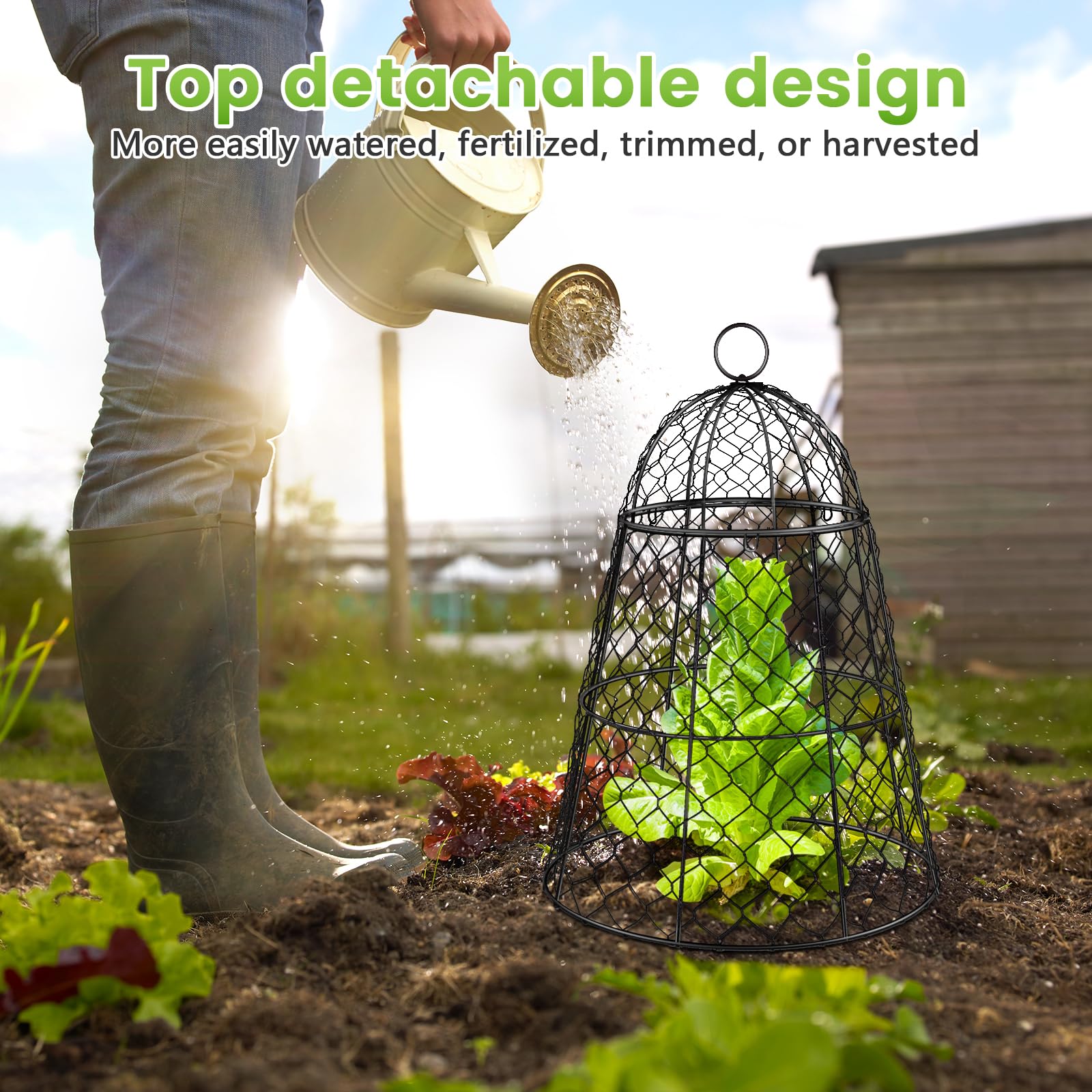 Pcs Black Metal Chicken Wire Garden Cloche Plant Covers 17 H x 13 D