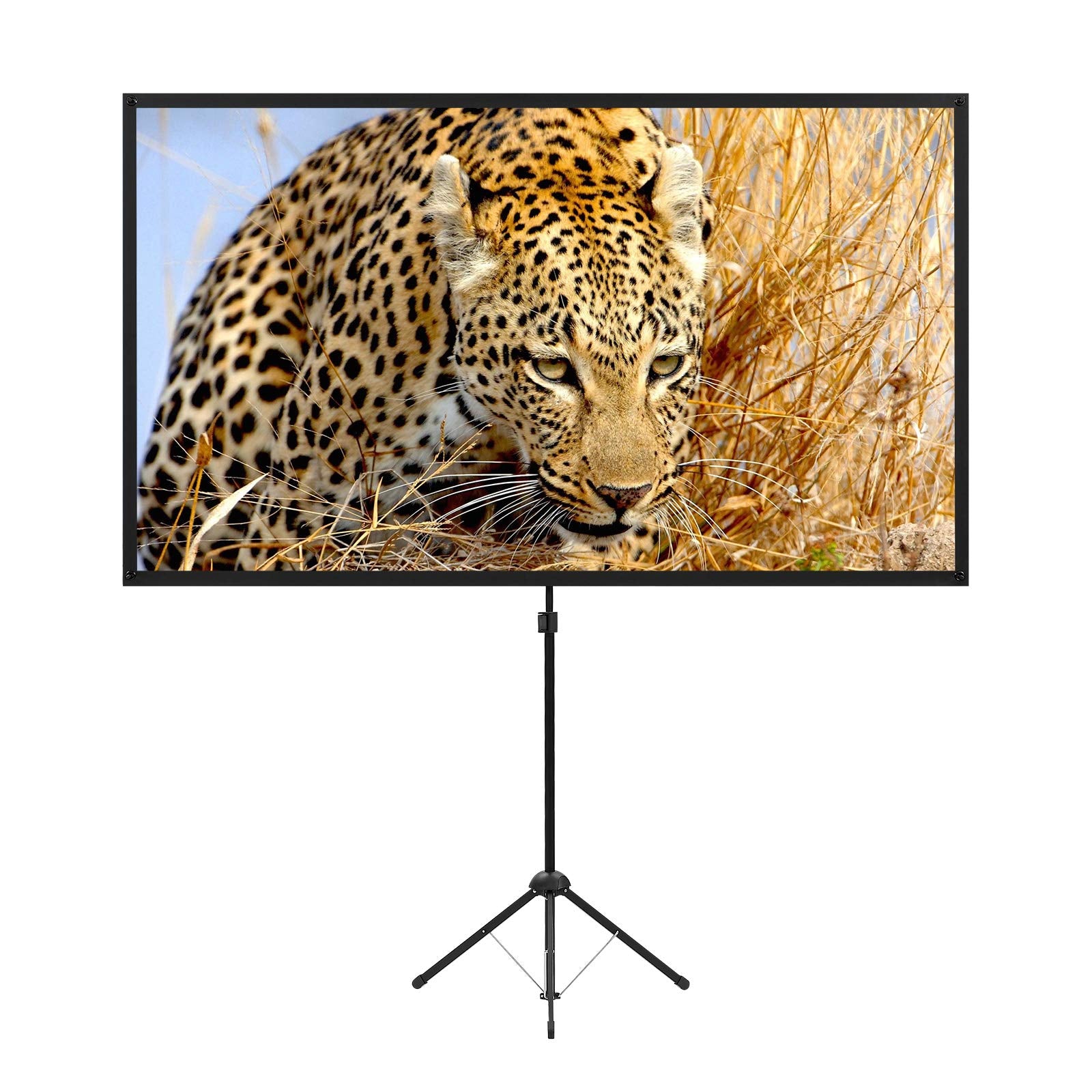Portable Projector Screen with Stand, Outdoor Movie Screen, 80 Inch 16:9, Light-Weight, Mobile and Compact, Easy Setup and Carrying, Projection Screen with 1.2 Gain Glass Fiber, Idea for Home Cinema. Retail $79.00