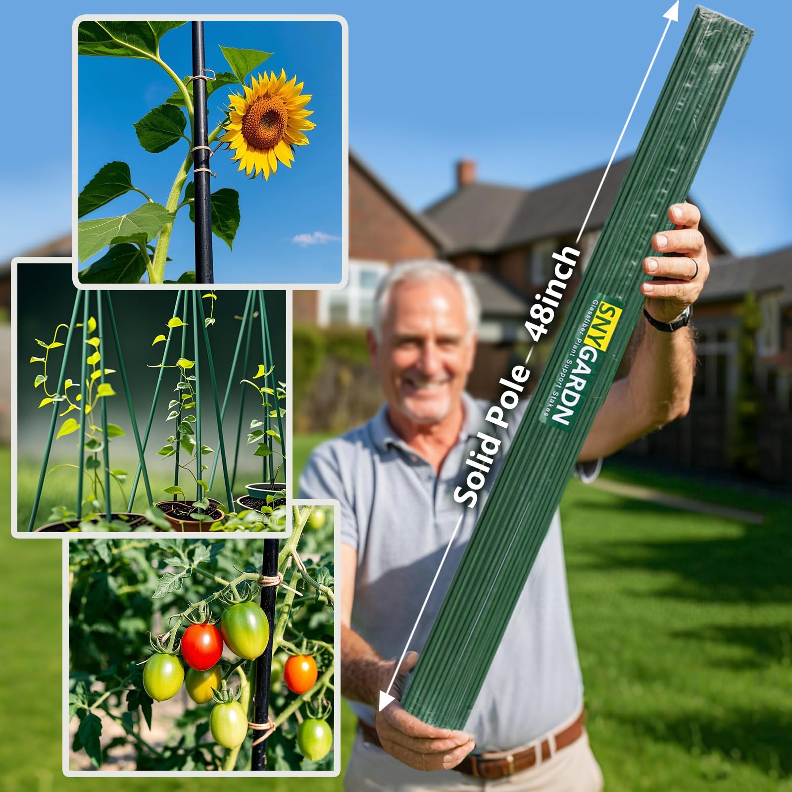 Pack 48 inch Solid Fiberglass Plant Support  Trellis Garden Stakes - Green