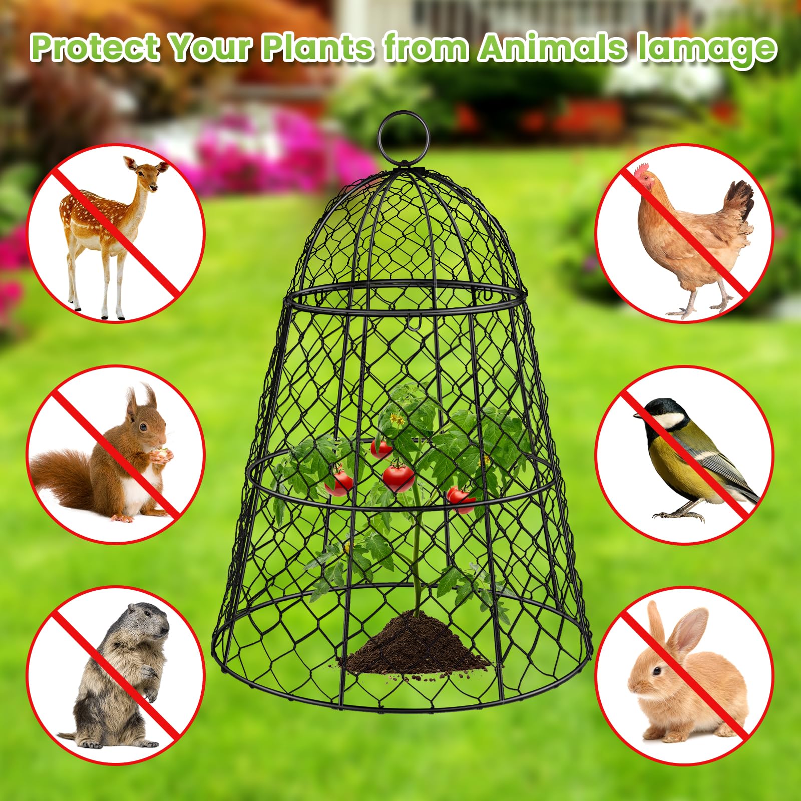 Pcs Black Metal Chicken Wire Garden Cloche Plant Covers 17 H x 13 D