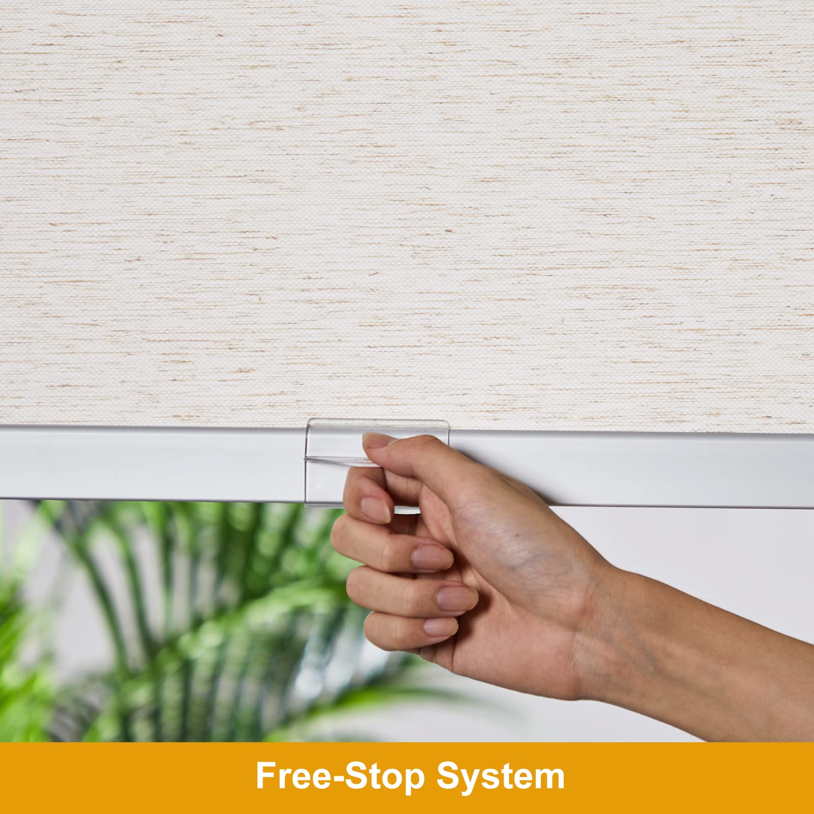 Cream Light Filtering Cordless Roller Shade 70W x 72H