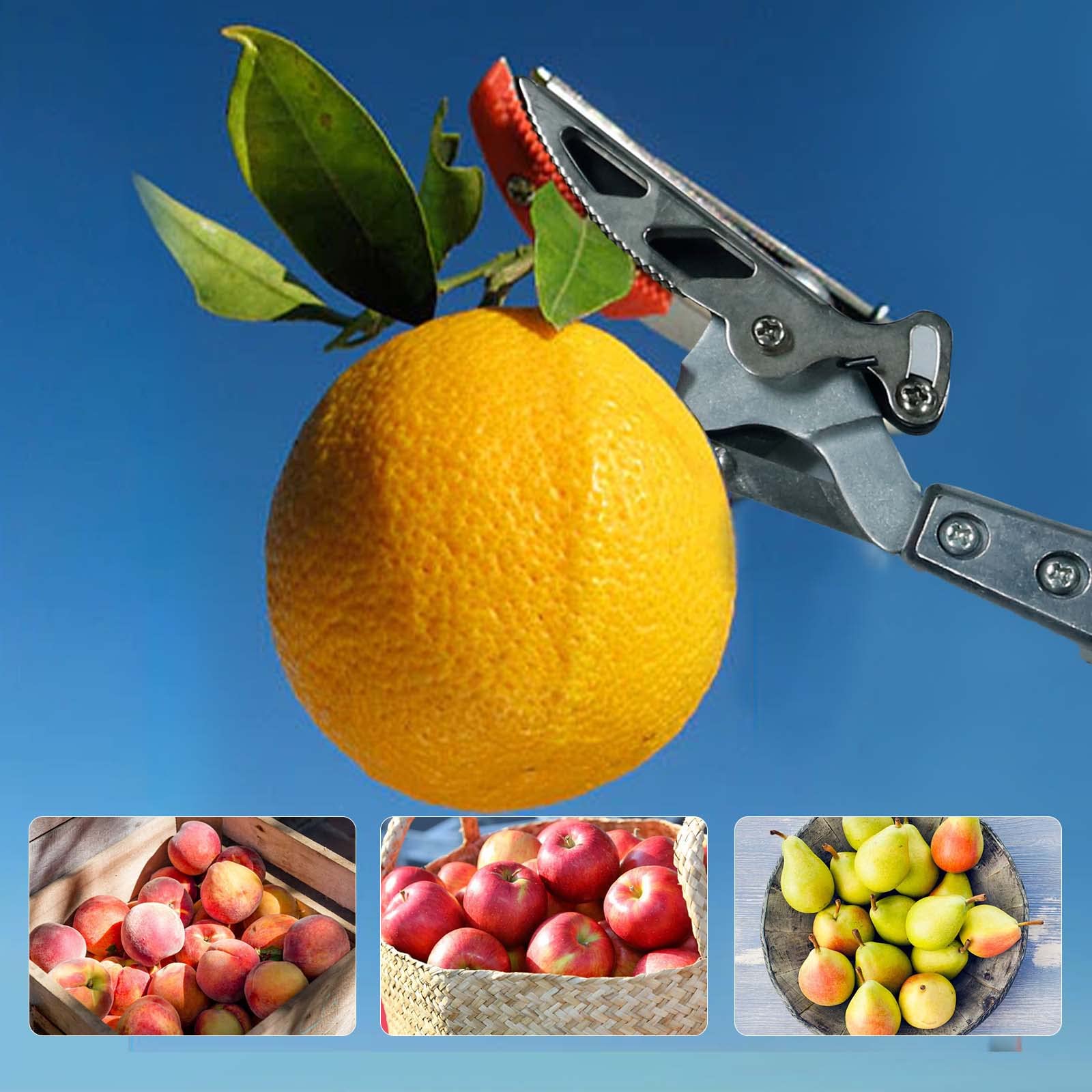 Garden Telescopic Pole Pruner 3.67-5.45 FT Extendable with Cut  Hold - Silver