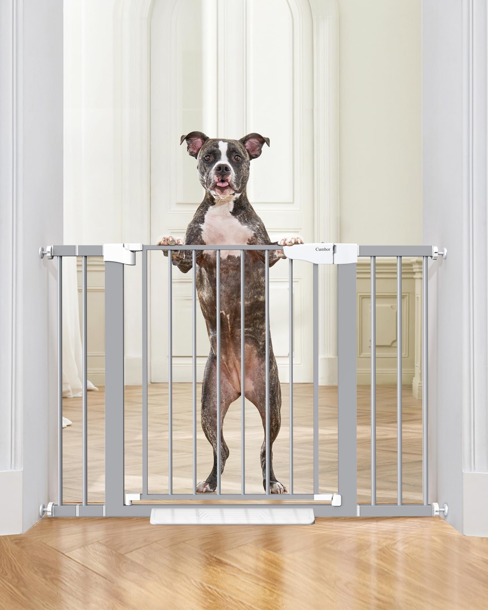 Gray Auto-Close Pressure Mounted Indoor Safety Gate 30.5 H 30-46 W
