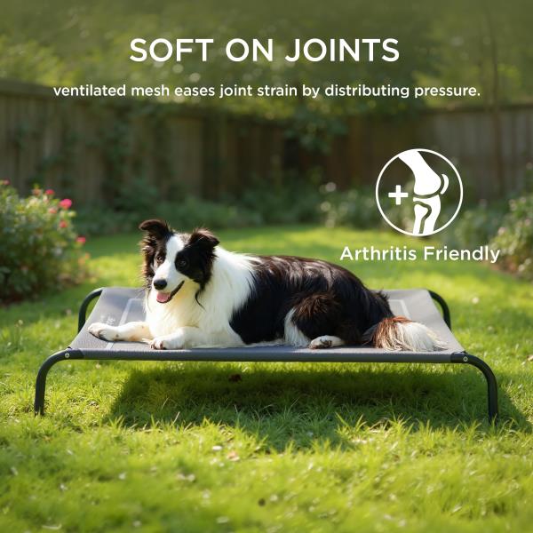 Elevated Cooling Dog Bed Large 49in Grey