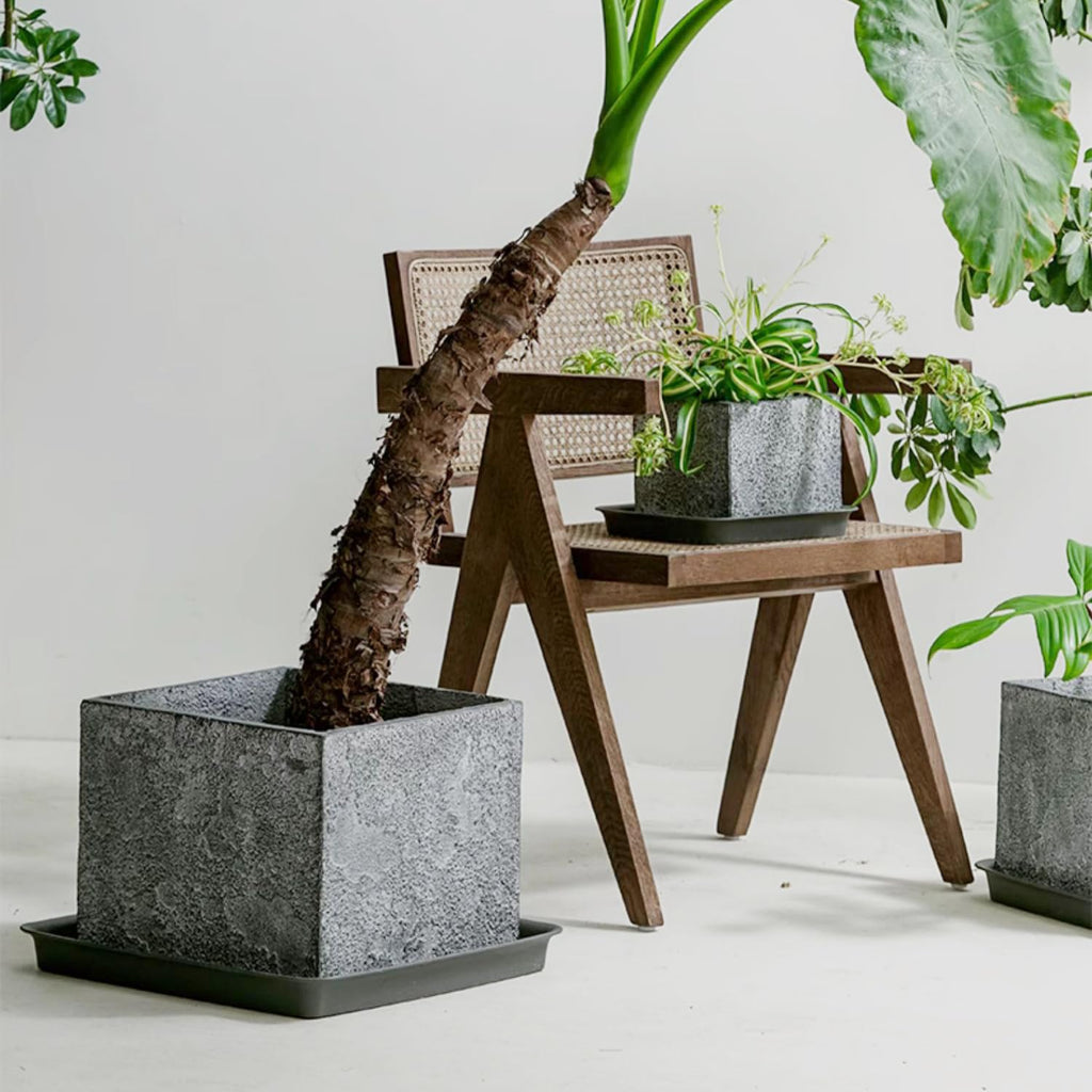 LWALRS Square Plant Saucer 18 Inch 2 Pack, Plastic Plant Saucer, Garden Large Deep Plant Trays for Pots, Heavy Duty Plant Pot Saucers, Planters for Indoors and Outdoors Plants Black. Retail $39.00