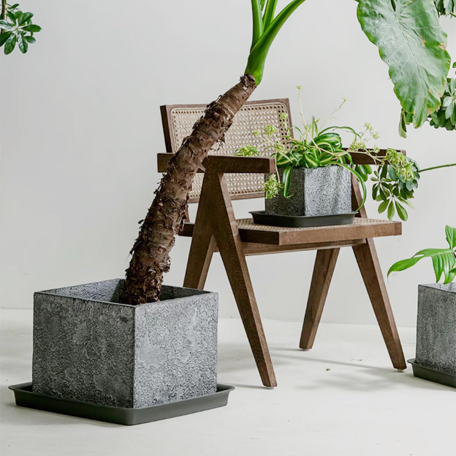 LWALRS Square Plant Saucer 18 Inch 2 Pack, Plastic Plant Saucer, Garden Large Deep Plant Trays for Pots, Heavy Duty Plant Pot Saucers, Planters for Indoors and Outdoors Plants Black. Retail $39.00