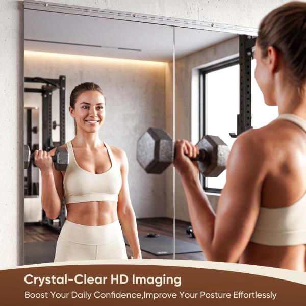 Wall-Mounted Gym Mirror 48x24 2PCS Tempered Glass