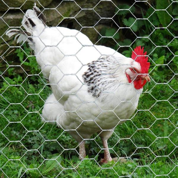 20GA Galvanized 60in x 50ft x 1in Mesh Chicken Wire Hexagonal Poultry Netting Retail $99.00