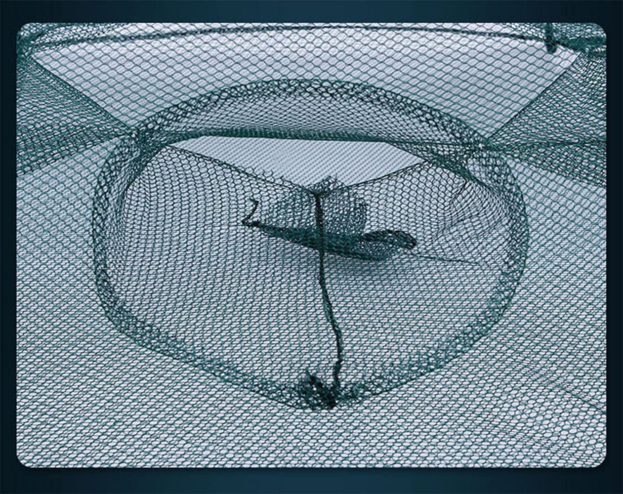 -Pack Foldable Green Fishing Bait Trap Cast Net Cage w18ft Nylon Rope