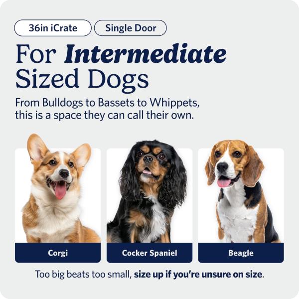 Midwest 36-Inch Single Door iCrate, for Medium-Large Breeds, 41-70 lbs Retail $61.00
