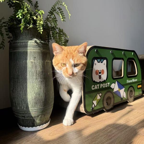 Increased Width Cat Scratching Board Green Bus Large Double Layers Cardboard House 9x11.8x22 Inch