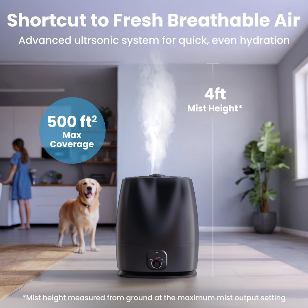 Black 6L Ultrasonic Cool Mist Humidifier with Oil Diffuser Whisper-Quiet