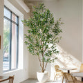 ft Faux Olive Tree with White Pot and Moss Realistic Artificial IndoorOutdoor Plant $134.25 Retail $179.00
