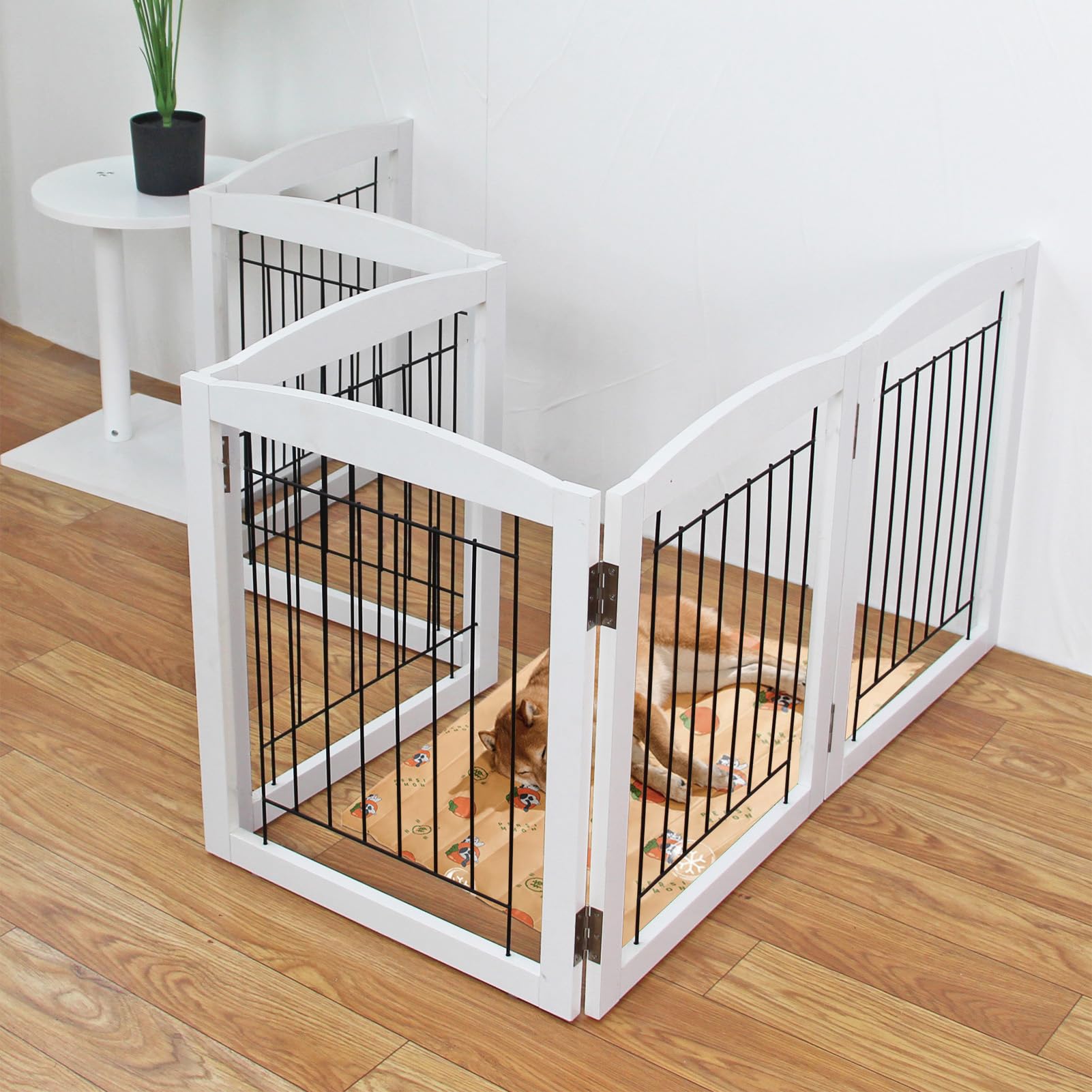 White Freestanding Foldable Wooden 3-Panel Dog Gate 24 H x 60 W