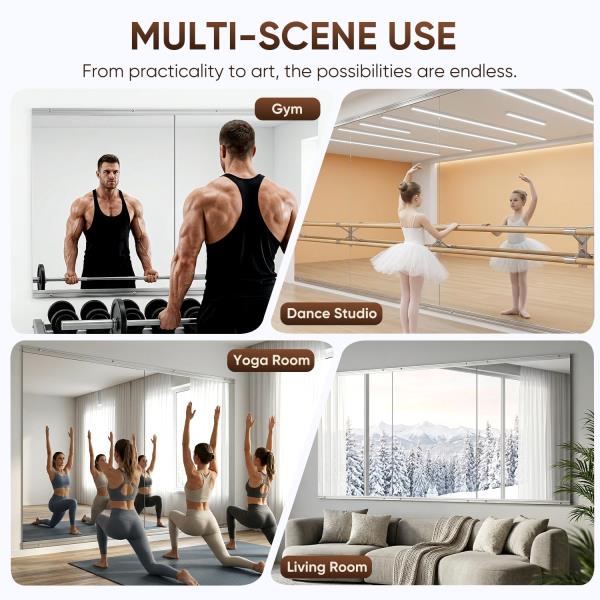 Wall-Mounted Gym Mirror 48x24 2PCS Tempered Glass