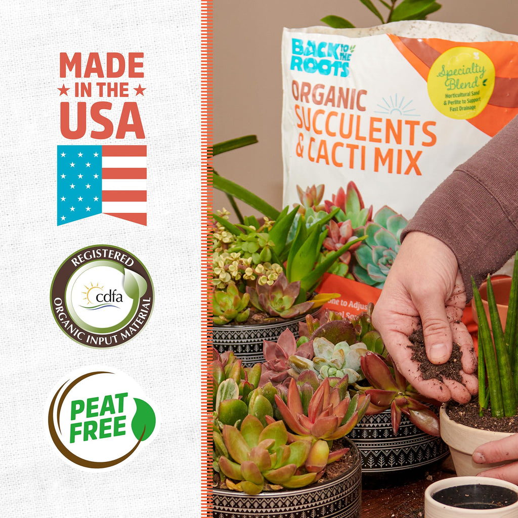 Open-Box New Back to the Roots 6qt Succulent  Cacti Mix Potting Soil with Rapid Drainage Retail $5.06