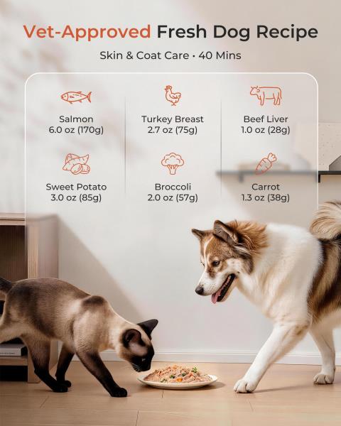 6 Qt Electric Pet Food Maker Fresh Meal Cooker for Dogs and Cats