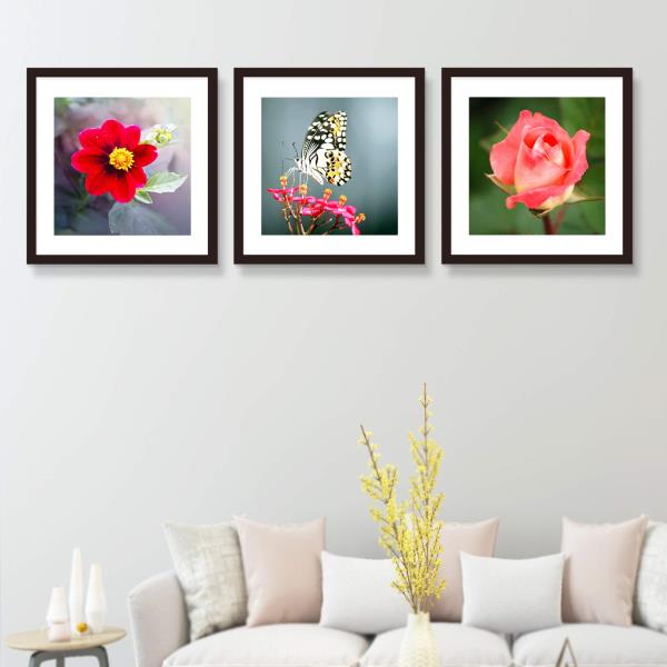 x20 Solid Wood Picture Frames with Mat 16x16 Black 3 Pack